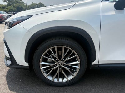 2023 Lexus NX 350h Premium