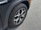 2023 Kia Seltos EX