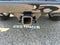 2024 Chevrolet Silverado 1500 Base